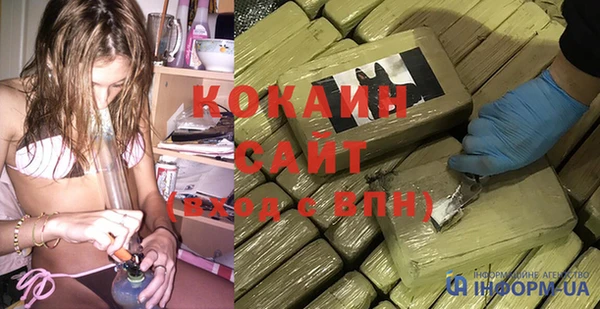 стаф Новокубанск