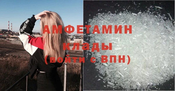 стаф Новокубанск