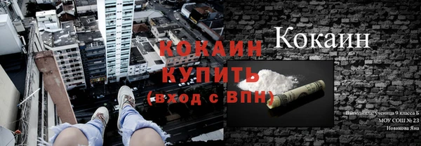 стаф Новокубанск