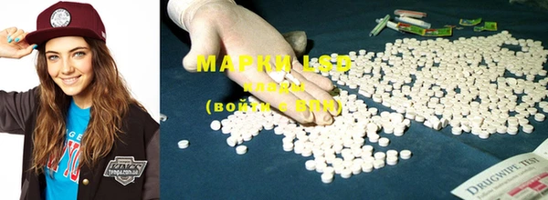 mdma Новозыбков