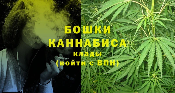 стаф Новокубанск