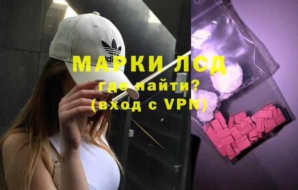 стаф Новокубанск