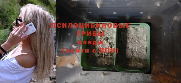 mdma Новозыбков