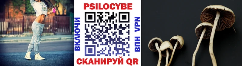 где продают наркотики  Приморско-Ахтарск  ссылка на мегу как войти  Псилоцибиновые грибы Magic Shrooms 