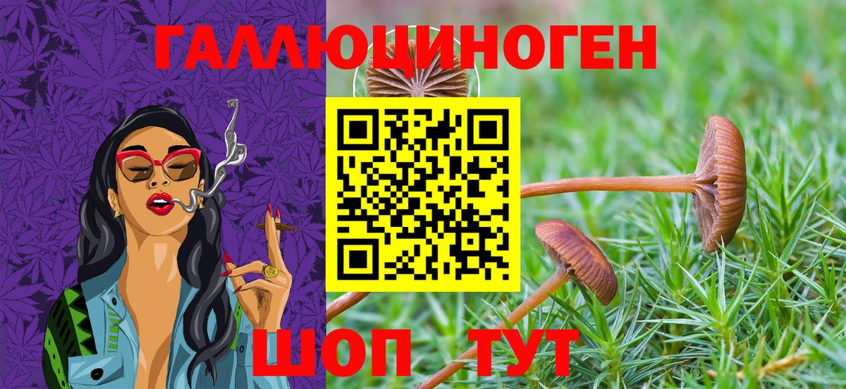 Псилоцибиновые грибы мицелий  Галлюциногенные грибы GOLDEN TEACHER  Вход с VPN  Приморско-Ахтарск 