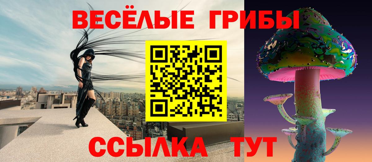 Галлюциногенные грибы Psilocybine cubensis Приморско-Ахтарск